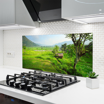 Painel vidro cozinha Prado da Natureza