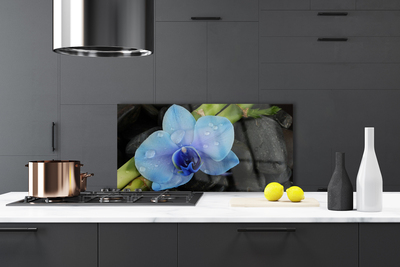 Painel cozinha Planta de pedras de flores