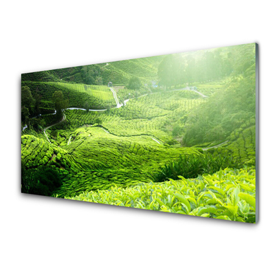 Painel vidro cozinha Prado da Natureza