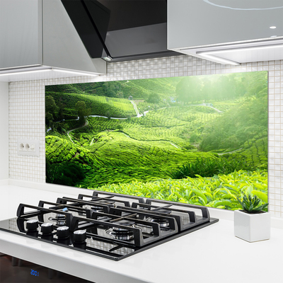 Painel vidro cozinha Prado da Natureza