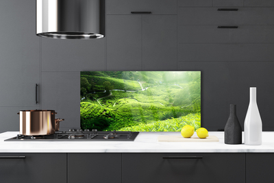 Painel vidro cozinha Prado da Natureza