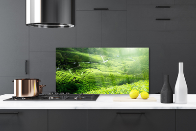 Painel vidro cozinha Prado da Natureza