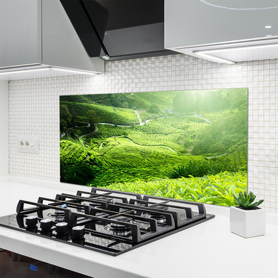 Painel vidro cozinha Prado da Natureza