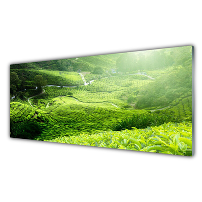 Painel vidro cozinha Prado da Natureza