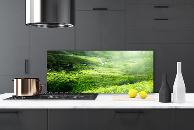 Painel vidro cozinha Prado da Natureza