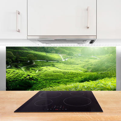 Painel vidro cozinha Prado da Natureza