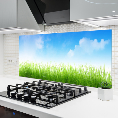 Painel cozinha Grama Natureza Planta