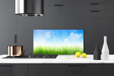 Painel cozinha Grama Natureza Planta