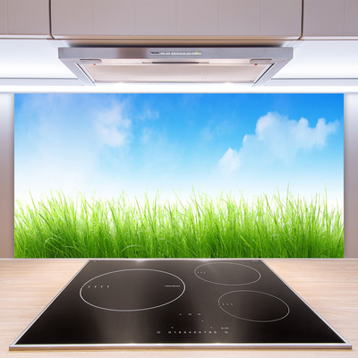 Painel cozinha Grama Natureza Planta