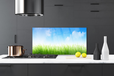 Painel cozinha Grama Natureza Planta