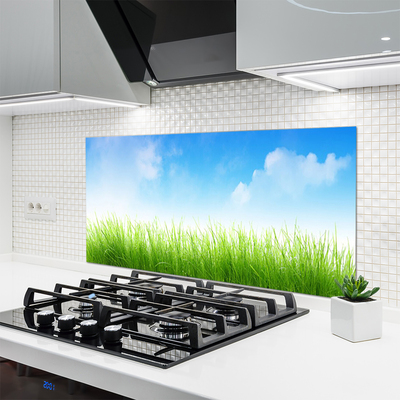 Painel cozinha Grama Natureza Planta