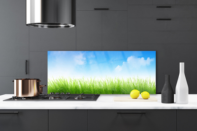 Painel cozinha Grama Natureza Planta