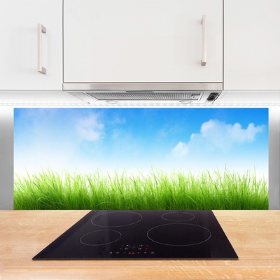 Painel cozinha Grama Natureza Planta