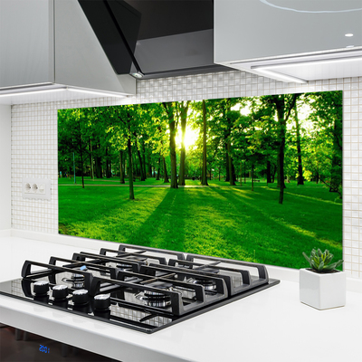 Painel cozinha Parque Florestal Natureza