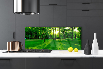 Painel cozinha Parque Florestal Natureza