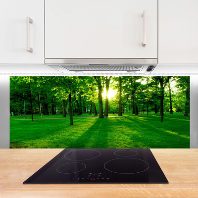 Painel cozinha Parque Florestal Natureza