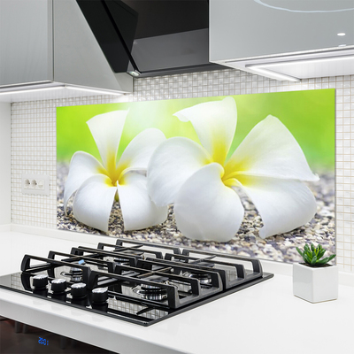Painel vidro cozinha Flores Planta Natureza