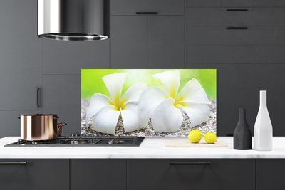 Painel vidro cozinha Flores Planta Natureza
