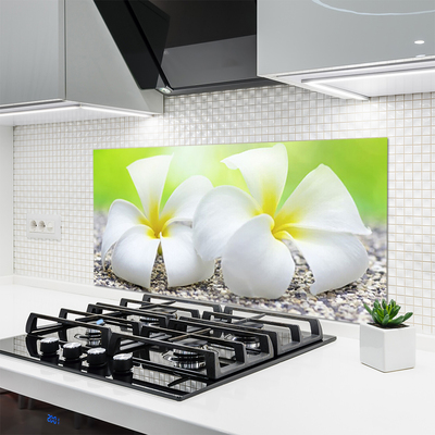 Painel vidro cozinha Flores Planta Natureza