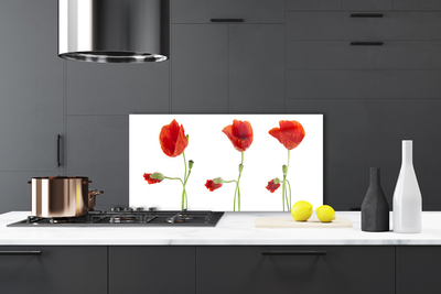 Painel cozinha Papoulas Plantam Natureza