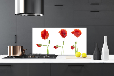 Painel cozinha Papoulas Plantam Natureza