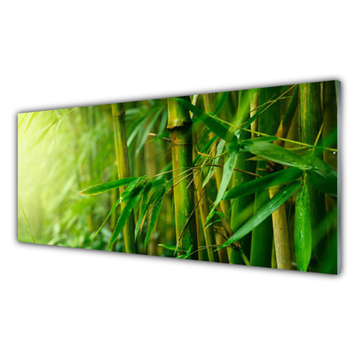 Painel cozinha Planta de caule de bambu