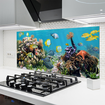 Painel cozinha Natureza dos recifes de corais