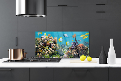 Painel cozinha Natureza dos recifes de corais