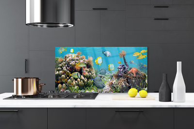 Painel cozinha Natureza dos recifes de corais