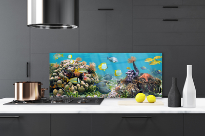 Painel cozinha Natureza dos recifes de corais