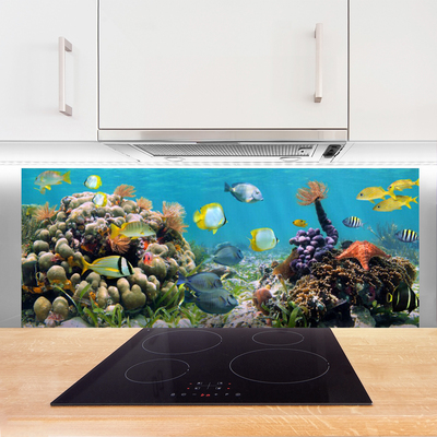 Painel cozinha Natureza dos recifes de corais