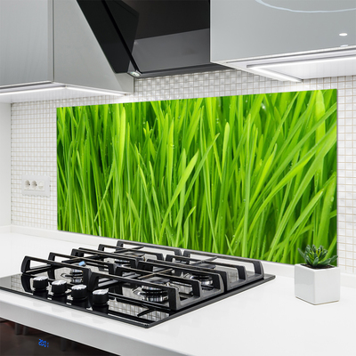 Painel vidro cozinha Natureza da planta grama