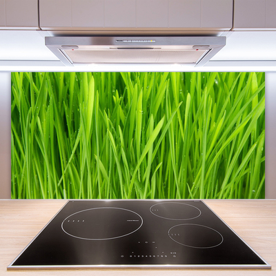 Painel vidro cozinha Natureza da planta grama