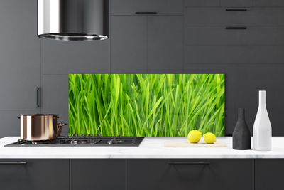 Painel vidro cozinha Natureza da planta grama
