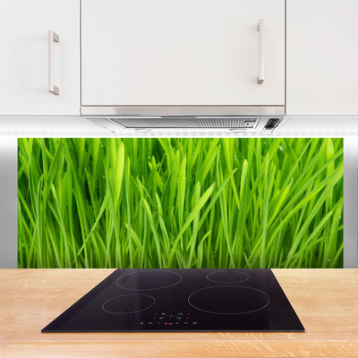 Painel vidro cozinha Natureza da planta grama