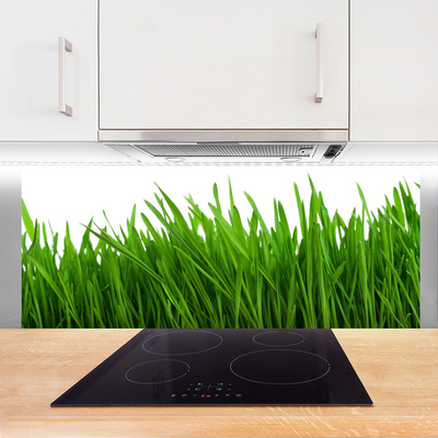 Painel vidro cozinha Natureza da planta grama