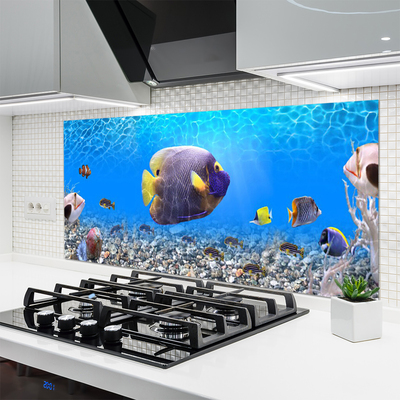 Painel vidro cozinha Natureza dos peixes