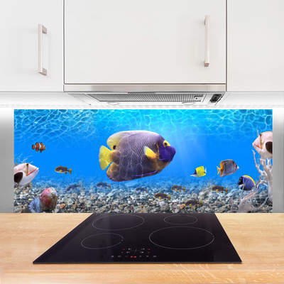 Painel vidro cozinha Natureza dos peixes