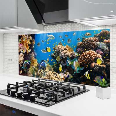 Painel cozinha Natureza dos recifes de corais