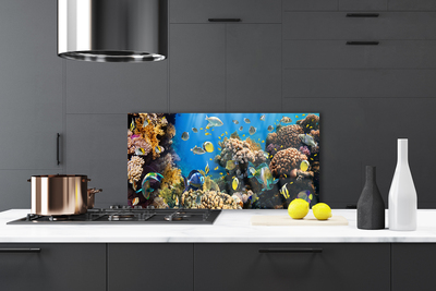 Painel cozinha Natureza dos recifes de corais