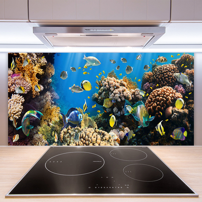 Painel cozinha Natureza dos recifes de corais