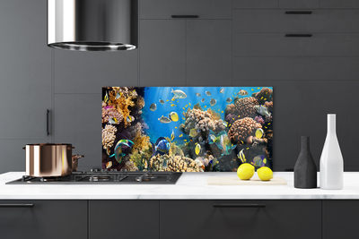 Painel cozinha Natureza dos recifes de corais