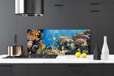 Painel cozinha Natureza dos recifes de corais