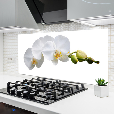 Painel cozinha Flores Planta Natureza