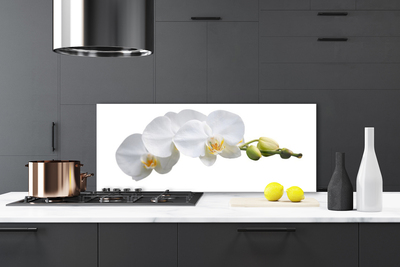 Painel cozinha Flores Planta Natureza
