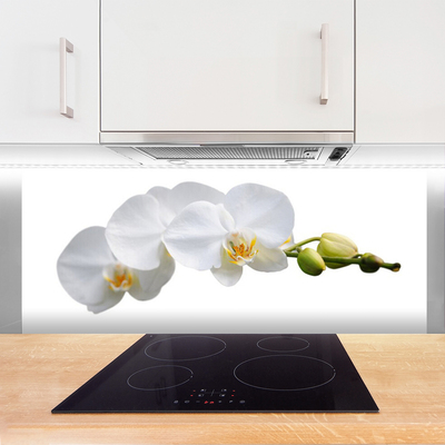 Painel cozinha Flores Planta Natureza