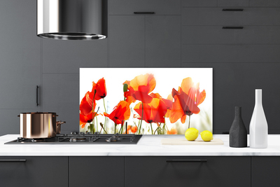 Painel vidro cozinha Papoulas Plantam Natureza