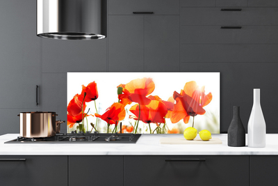 Painel vidro cozinha Papoulas Plantam Natureza