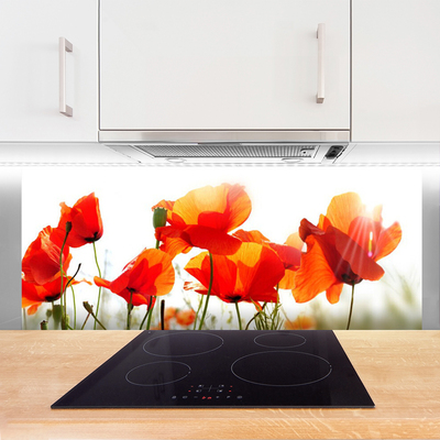 Painel vidro cozinha Papoulas Plantam Natureza