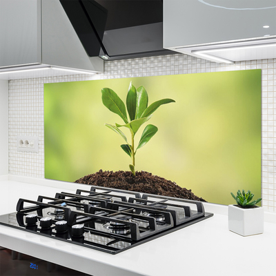 Painel cozinha Crescimento de plantas terrestres